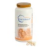 LACTOBACT PREMIUM magensaftresistente Kapseln