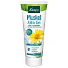 KNEIPP Muskel Aktiv Gel