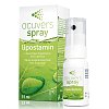 OCUVERS spray lipostamin Augenspray mit Euphrasia