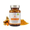 CURCUMA PLUS Weihrauch Kapseln
