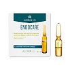 ENDOCARE Ampullen SCA 40