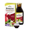 BLUTQUICK Saft