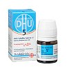 BIOCHEMIE DHU 5 Kalium phosphoricum D 6 Globuli
