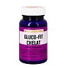 GLUCO-FIT Chelat GPH Kapseln