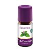 SPEARMINT ÖL Bio