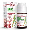RHUS TOXICODENDRON D 6 Tabl.bei rheumat.Schmerzen