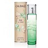 CAUDALIE Eau fraiche Eau des vignes Spray