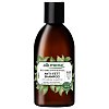 ALKMENE Anti-Fett Shampoo Bio Brennnessel