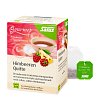 HIMBEEREN Quitte Gourmet Früchtetee Bio Salus Fbtl