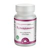 Dr. Jacob\'s Vitamin B12 Methylcobalamin hochdosiert vegan