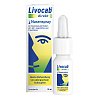 Livocab® direkt Nasenspray bei Allergie