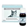 RECONVALES Tonicum für Katzen