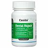 DENTAL REPAIR Probiotika Lutschtabletten