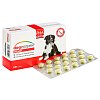 DOGENZYME Gelenk magensaftres.Filmtabletten vet.