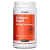 COLLAGEN PULVER Kollagen Hydrolysat Peptide Rind