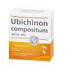 UBICHINON compositum ad us.vet.Ampullen
