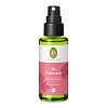 IN BALANCE Raumspray Bio