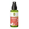 BESCHÜTZ mich Raumspray Bio
