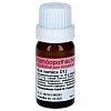Dr. Reckeweg Nux Vomica D12