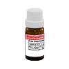 Dr. Reckeweg Rhus Toxicodendron D12