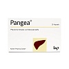 PANGEA Kapseln