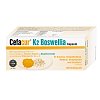 CEFACUR K2 Boswellia Hartkapseln