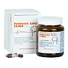 PANKREATIN Laves 10.000 Ph.Eur.-Einh.msr.Hartkaps.