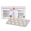 LEGA PHYTON 200 Erg.Futterm.Tabl.f.Hunde/Katzen