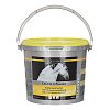 EQUISTRO Excell E Powder Erg.Futterm.Plv.f.Pferde