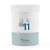 BIOCHEMIE Pflüger 11 Silicea D 12 Pulver