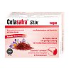 CEFASAFRA Stix Granulat