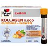 DOPPELHERZ Kollagen 11.000 Curcuma+Ingw.system TRA