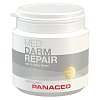 PANACEO Med Darm repair Kapseln