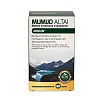 MUMIJO ALTAI Kapseln