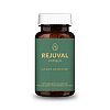 REJUVAL mit NMN Resveratrol EGCG Anti-Aging Kaps.
