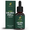 VITACTIV Chlorophyll Tropfen
