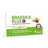 BRASSICA PLUS Kapseln