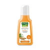 RAUSCH Weizenkeim NÄHR-SHAMPOO