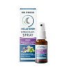 DR.THEISS Melatonin Einschlaf-Spray Plus