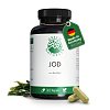 GREEN NATURALS Jod aus Bio-Kelp 200 ug