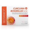CURCUMA+BOSWELLIA forte Kapseln