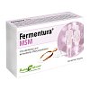 AURANATURA Fermentura MSM Kapseln