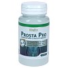 PROSTA PRO Quercetin+Zink+Selen+Vitamin B6 Kapseln
