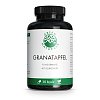 GREEN NATURALS Granatapfel + 40% Ellagsäure