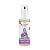 BALDINI Buddhaduft Aura & Bodyspray