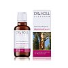 GEMMO Mazerat Mammutbaum Dr.Koll Sequoia gigantea