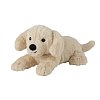 WARMIES MINIS golden Retriever