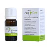 APACARE Zahnlack Pinselflasche