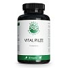 GREEN NATURALS Vital Pilze Cordyceps Reishi vegan