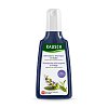 RAUSCH Silberglanz-Shampoo mit Salbei